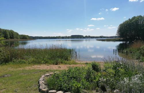 Kasztanowe Wrota - Foto 68