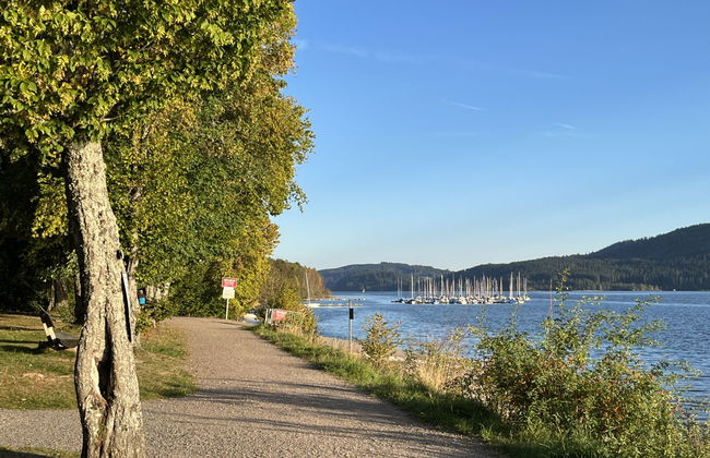 Schöne Aussicht (App 1406 / EX-Kurhotel) - Foto 43