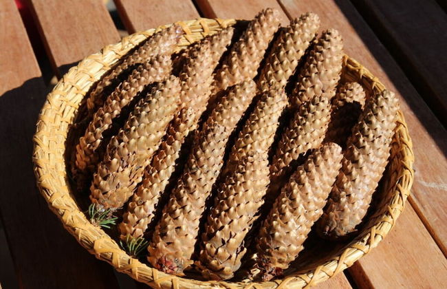 Hochgrat View in Steibis, Haus Akelei - Photo 17