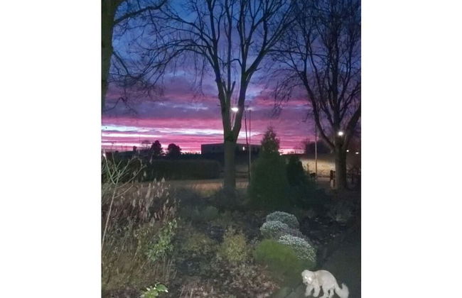 No Title Modern Retreat - Photo 15