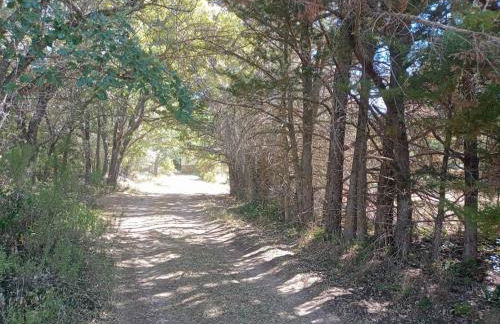 Derroñadas . Casa con enorme jardín y tenis. - Foto 26