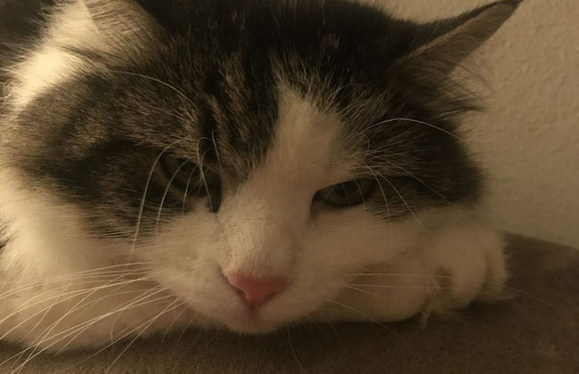 Agriturismo Rio Verde - Foto 14