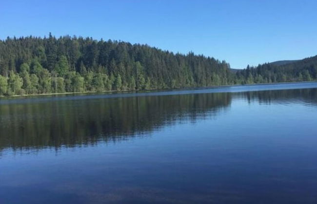 Appealing Apartment in Lenzkirch - Foto 12