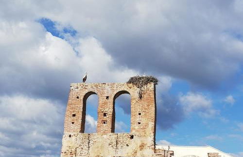 La Casita de Teléfonos - Foto 25