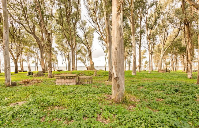 Homes in the Lagoons of Santa Giusta - Foto 27