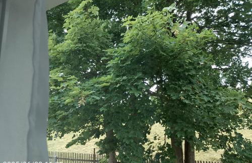 Nähe Plohn Park - FEWO mit Spielzimmer und Balkon sowie Doppelzimmer mit eigenem Bad - Foto 50