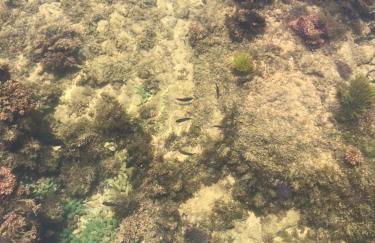 Residencial Verano - Foto 14