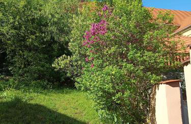 Apartament pod Wieżą Srebrna Góra - Foto 27