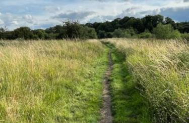 The Blue Cottage with luxurious Super King bed - Photo 49