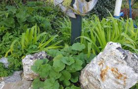 Ferienwohnung Finja in Putgarten, Kap Arkona Rügen - Foto 27