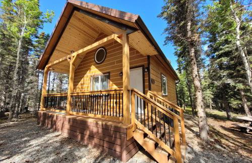 Denali Wild Stay - Redfox Cabin, Free Wifi, private, sleep 6 - Foto 17
