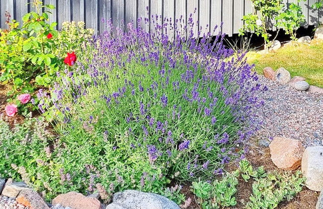 4 Person Holiday Home in Grisslehamn - Photo 20