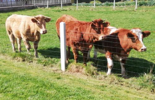 L'Opaline, Jolie Maison avec Jardin 6 pers,10km Honfleur, linge et internet inclus - Foto 49