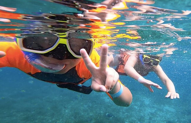 Excursão de catamarã Isla Mujeres, snorkeling, diversão, bar aberto e buffet - Foto 18