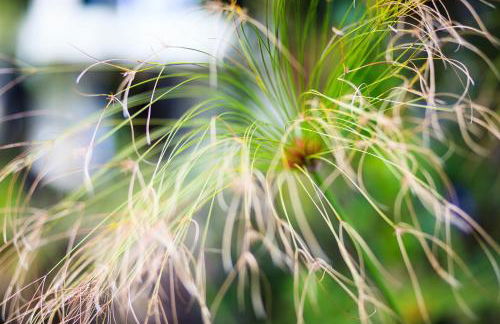 Casa da Portada - Foto 19