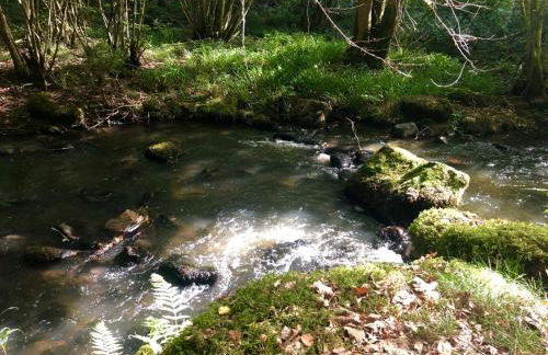 Ancienne Auberge des Brizards - Morvan (14 personnes) - Foto 41