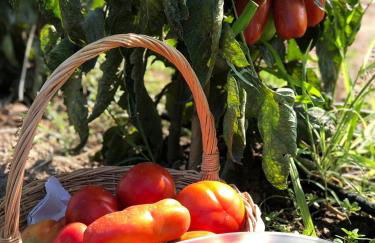 Tuscan Dream Casa Vacanze - Foto 33