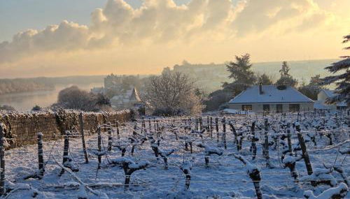 Le Belvédère de Montsoreau - Foto 2