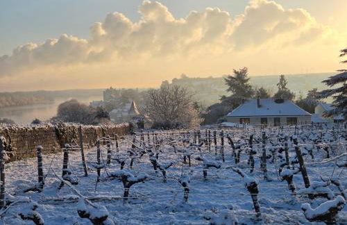 Le Belvédère de Montsoreau - Foto 2