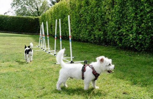 Honeycomb Lodge - Holiday Home 5 min from Padstow - Foto 28