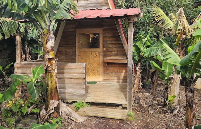 Banana Eco Camp - Foto 62