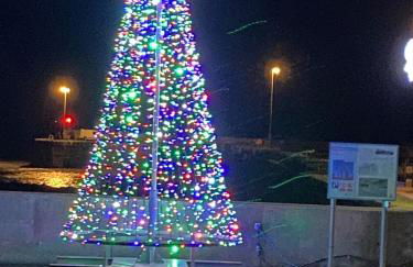 Driftwood - Photo 42