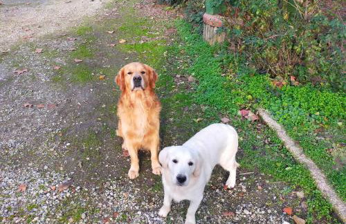 Ferme Pédagogique Bordeneuve - Foto 60