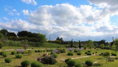 AU MAS D'EMMA - Foto 5, Garden view