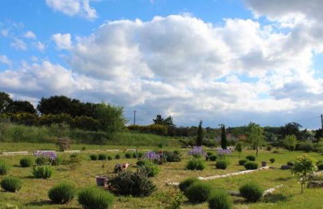 AU MAS D'EMMA - Foto 5