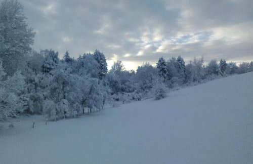 Apartments Pavlić - Foto 76