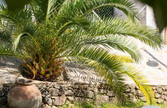 APARTAMENTO SAN MIGUEL N.2 - Foto 25