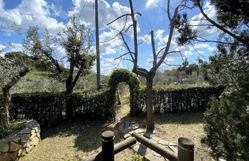 Country house in Maremma Villa Mafalda - Foto 36