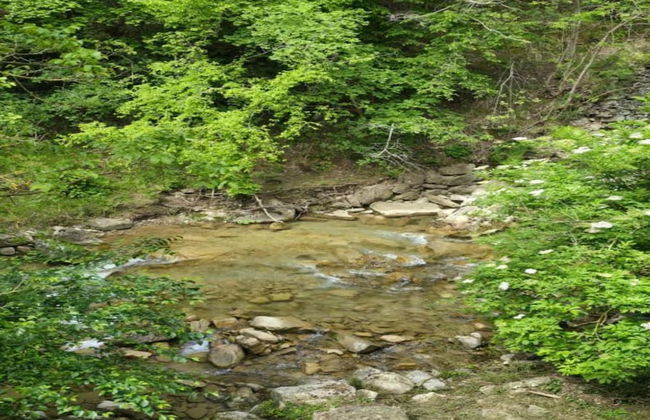 Sauna Retreat in Sulz - Photo 76