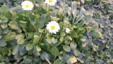 Casa vacanze il sorriso di Eva - Foto 5