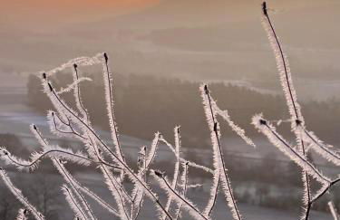 Ferienwohnung Ameis - Foto 16
