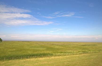 Komfortable Apartments in der Villa Eule - Foto 45