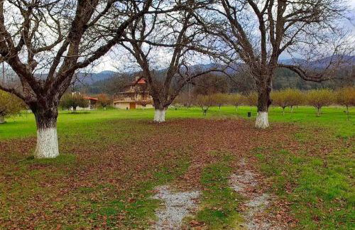 Ktima Karadimou - Photo 15