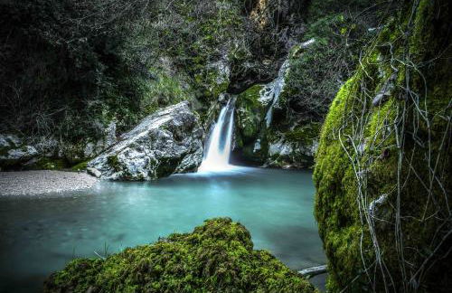 Perseverantia - Foto 26