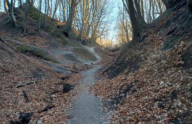 Lantern Hill Jastrzębia Góra - Foto 15