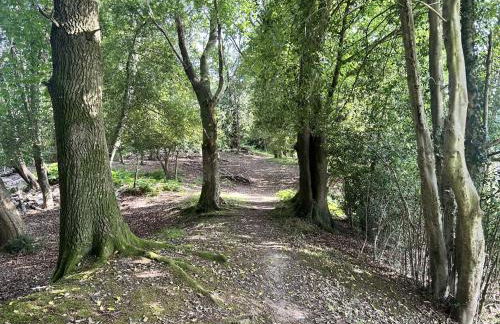 Yew Tree Cottage - Photo 40