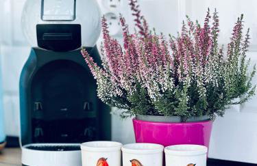 Pod Stromcem - Foto 8