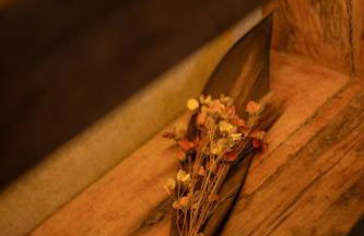 Cabana Tekoá - Teto de vidro e telão de cinema - Foto 34