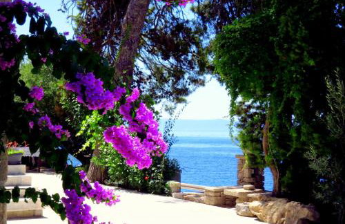 Villae Dalmaticae - Kastil - Photo 28