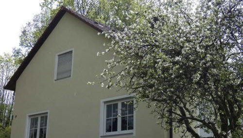 Goldener Fuchs in Moschendorf - Foto 5