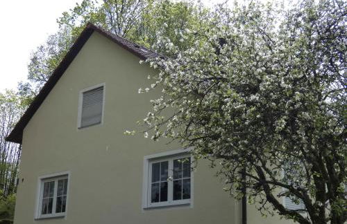 Goldener Fuchs in Moschendorf - Foto 5