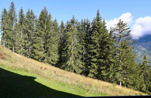 Appartement cosy 4 pers, skis aux pieds à Courchevel - FR-1-575-10 - Foto 14