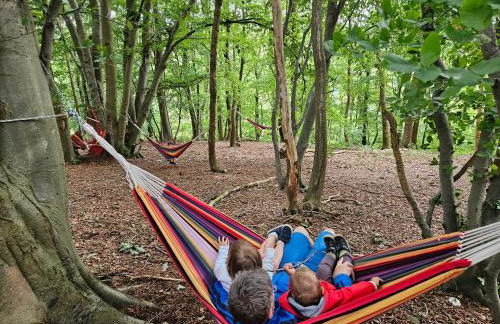 Coqslitscaux - Foto 64