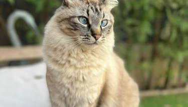 Casa Micho - Photo 3