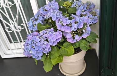 La casetta di Dora - Photo 20