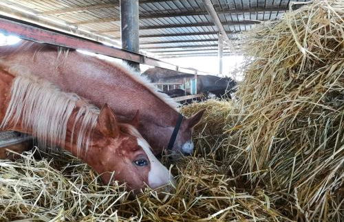 Agriturismo Fontana la Pietra - Foto 83